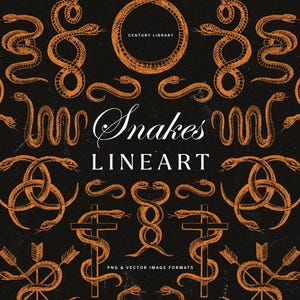 Op de afbeelding: Een zwarte achtergrond met een herhalend patroon van oranje slangenillustraties in verschillende poses. De woorden "Snakes LINEART" staan in witte letters. Extra tekst luidt "PNG & VECTOR IMAGE FORMATS".
