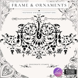 Procreate Frames and Ornaments Stamps, Floral Clipart Bundle, Rose Wedding Invites, Rose Border Patterns