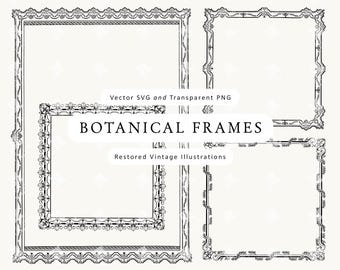 Vintage Botanical Frames: Ornamental Borders, Floral Clipart (PNG & SVG Digital Download