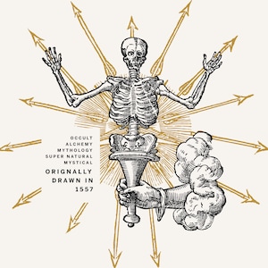 Vintage skeleton illustration with golden rays symbolizing mysticism, alchemy, and transformation.