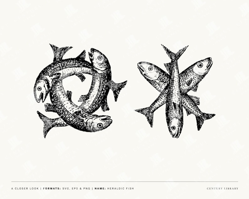 Vintage Nautical Heraldry Illustrations: Fish, Crab, Lobster Line Art ...
