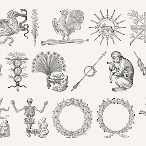 Set of vintage mystical alchemy symbols featuring dragons, swords, wreaths, and winged creatures.