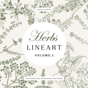 Op de afbeelding: Een botanische illustratie met verschillende kruiden in een lijnkunststijl. De afbeelding is overwegend groen en wit, met gedetailleerde tekeningen van bladeren, stengels en bloemen. De tekst luidt "Herbs LINEART VOLUME.1".