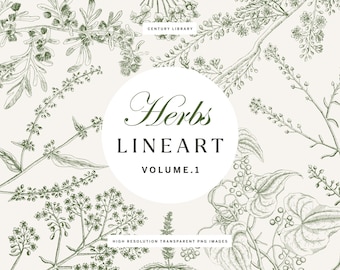 Botanical & Herbs Line Art Illustrations: Transparent Floral PNG Clipart Collection