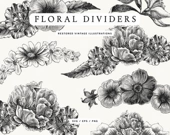 Set of Floral Divider Illustrations in PNG, SVG, and EPS Formats