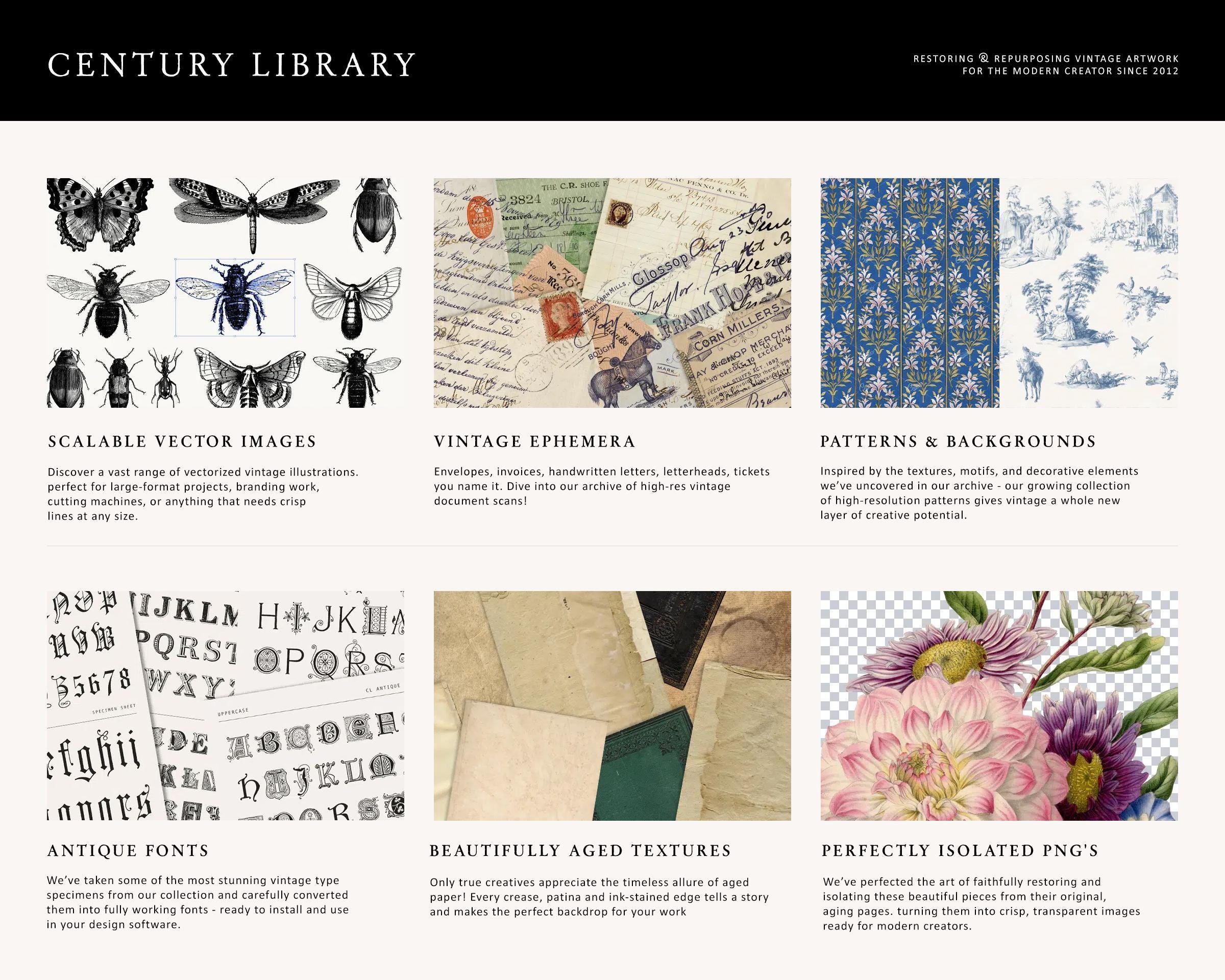 Ornate Scroll Frame Clipart: Vintage Style Borders (PNG, SVG