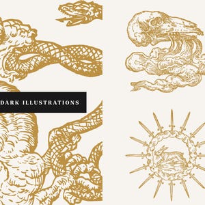 Gold engraved occult illustrations featuring snakes, skulls, and celestial symbols from historical alchemy art.