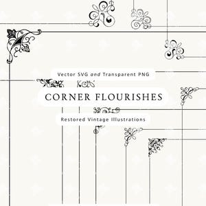 Puede incluir: Una colección de esquinas y elementos decorativos negros sobre un fondo crema. Se muestra el texto "CORNER FLOURISHES", junto con "Vector SVG and Transparent PNG" y "Restored Vintage Illustrations".