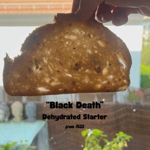 Peut inclure: Une tranche de pain brun clair avec des graines sombres visibles et une mie aérée, tenue contre la lumière. Le texte "Black Death" Dehydrated Starter from 1633 est imprimé en lettres noires sous la tranche de pain.
