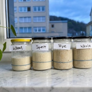 Bavarian Black Death Sourdough Starter (1633) – 400 Years of Wild Yeast History | German Heritage Culture | Organic, Vegan, Dehydrated