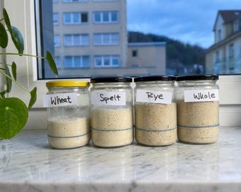 Lievito madre bavarese della peste nera (1633) – 400 anni di storia del lievito selvatico | Cultura ereditaria tedesca | Biologico, vegano, disidratato