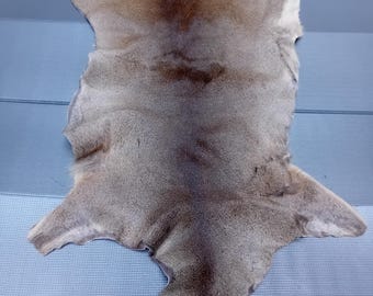 Roe deer roebuck deer pelt skin hide fur area rug carpet home decor natural chair pad seat cushion
