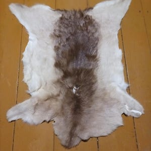May include: A natural animal hide featuring a thick, soft coat with a distinct colour pattern. The fur is primarily white along the outer edges and sides, transitioning into a wide, dark brown stripe running vertically down the centre.