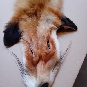 Wilde hoogland rode vos pels huid huid zacht pluizig kwaliteit lot zachte opgezette opgezette dieren