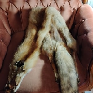 May include: A fox pelt with reddish-brown and gray fur is draped over a pink upholstered chair. The pelt is spread out, showcasing the animal's fur and tail. The chair has a button-tufted back.