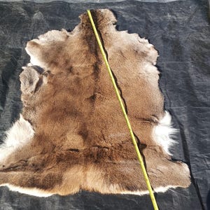 Op de afbeelding: Een bruine en witte dierenhuid met een textuur van bont. Een geel meetlint is verticaal over het midden van de huid geplaatst, wat een lengte van ongeveer 122 cm aangeeft van de bovenrand tot de onderrand van de huid.