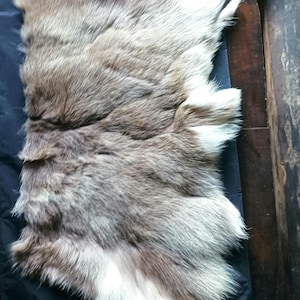 Könnte beinhalten: Ein rechteckiges Tierfell mit einer Mischung aus natürlichen Braun-, Beige- und Weißtönen. Das Fell hat eine dichte, weiche Textur mit längeren weißen Grannenhaaren an den Rändern und einem dunkleren, variierenden braun-grauen Muster.