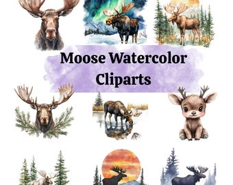 Moose Watercolor Clipart | Forest Animal PNG | Woodland Wildlife Clip Art for Nursery, Prints & Crafts
