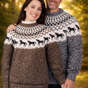 Pferde Pullover Strickmuster Norwegisch Isländisch Lopapeysa PDF Unisex Winter Pullover