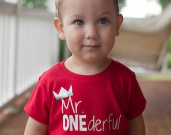 Mr ONEderful - Crown - 1st Birthday shirt boy - Front and Back design - Name on back - first birthday - one year - Mr Wonderful - prince