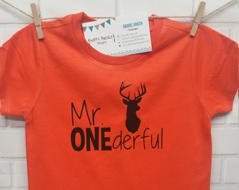 Mr ONEderful - buck - 1st Birthday shirt - Front and Back design - Name on back - first birthday - Mr Wonderful - rustic - hunting - deer