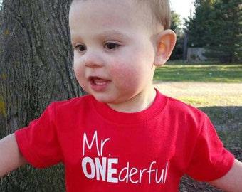 Mr ONEderful!  - 1st Birthday shirt boy - Front and Back design - Name on back - one year old first birthday - Mr Wonderful - first bday boy