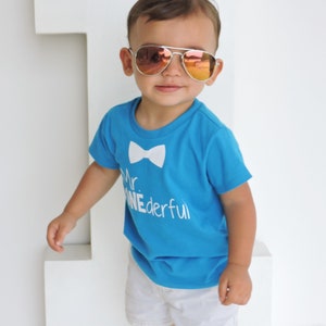 Bowtie Mr ONEderful 1st Birthday shirt boy Front and Back design Name on back 1 year old first birthday 1st bday image 3