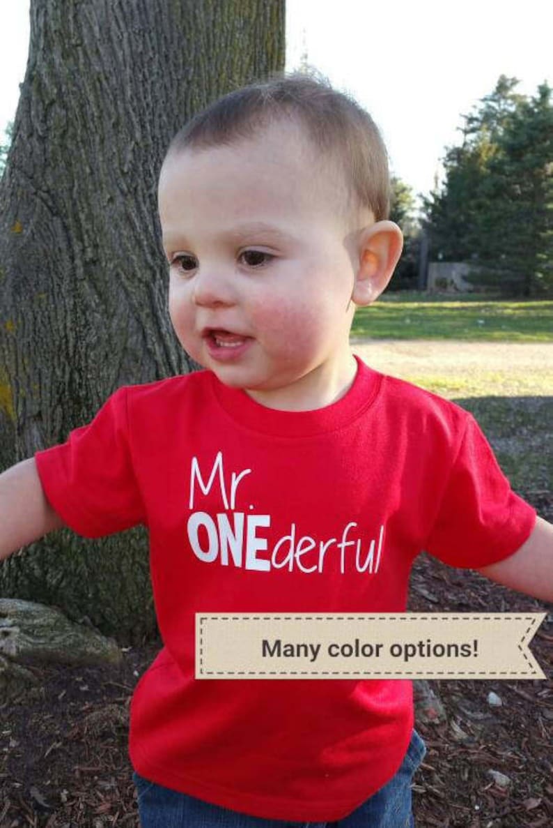 Mr ONEderful!  - 1st Birthday shirt boy - Front and Back design - Name on back - one year old first birthday - Mr Wonderful - first bday boy