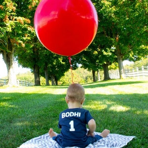 Mr ONEderful paper airplane 1st Birthday shirt Front and Back design Name on back first birthday one year Mr Wonderful plane image 9