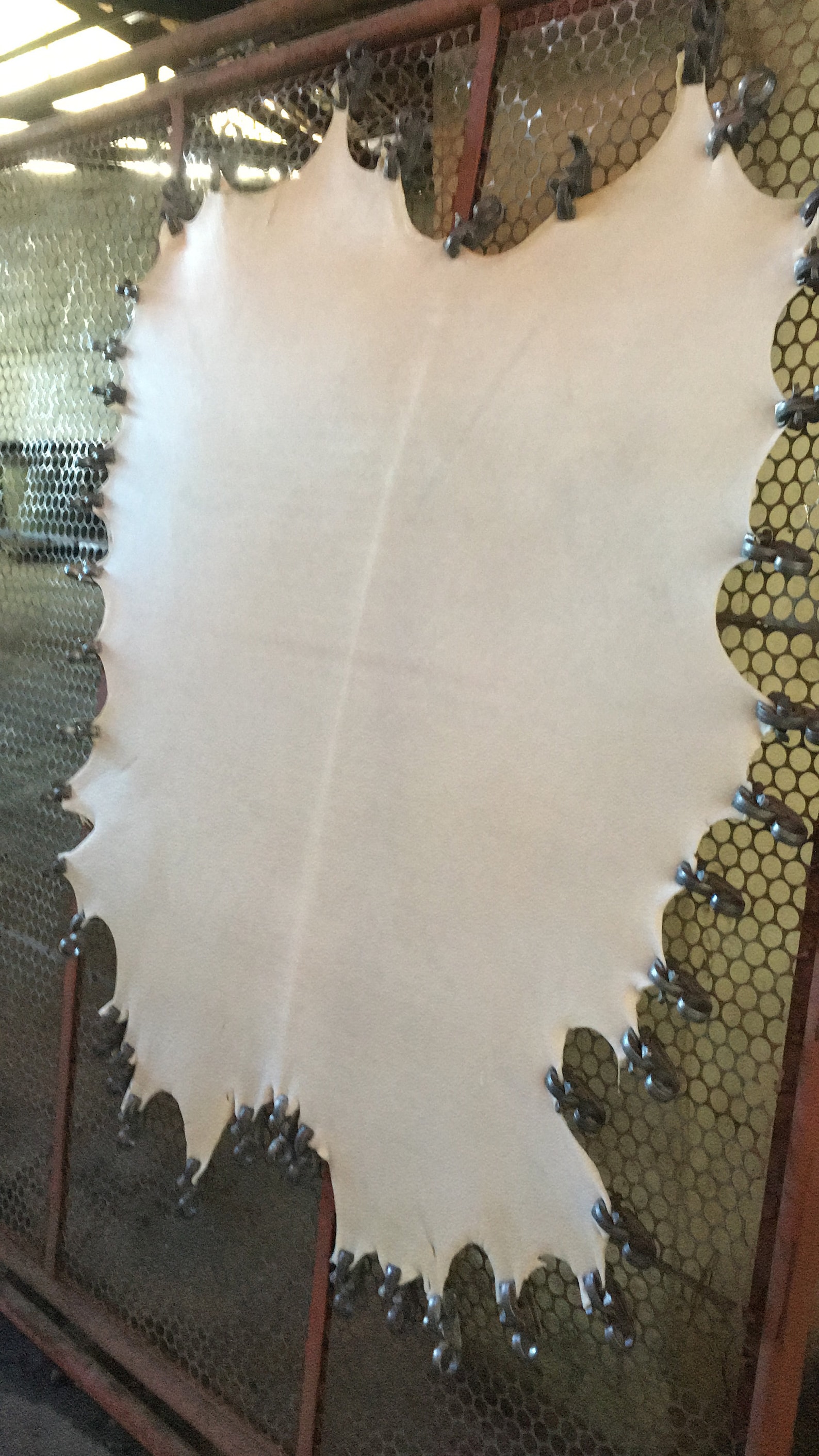 White Natural Goatskin Parchment Vellum Real Parchment Goatskin