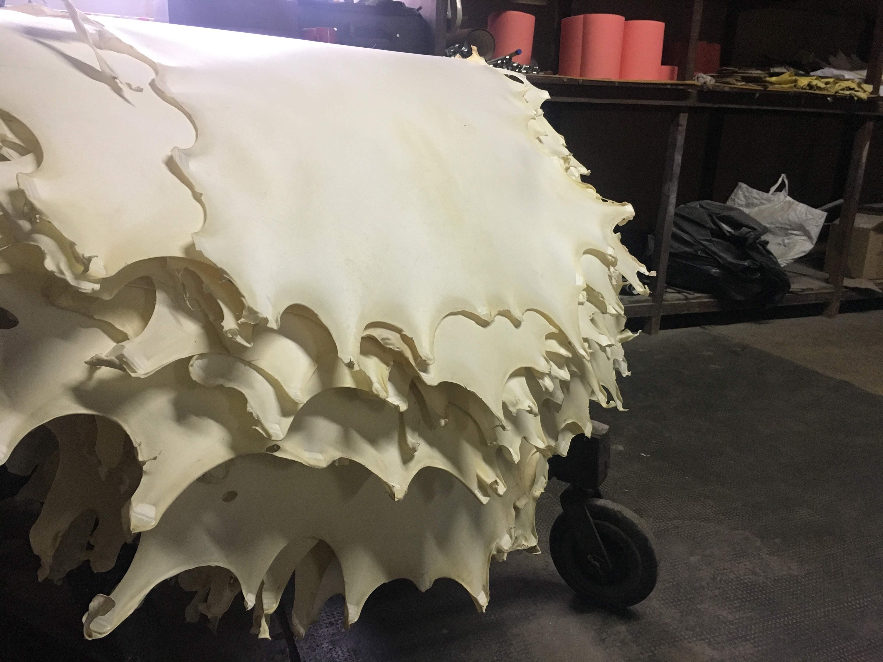 White Natural Goatskin Full Parchment Vellum Real Etsy