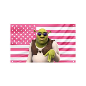 Può includere: Una bandiera con un disegno a bandiera americana rosa, con un'immagine di cartone animato di Shrek con occhiali da sole e un gilet marrone. Il personaggio indica verso il basso con una mano.