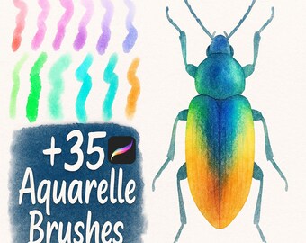 Procreate Watercolor Brushes, Realistic Watercolor Brush Set, Wet Watercolor Blends, Watercolor Textures, Procreate Watercolor Wash Brushset