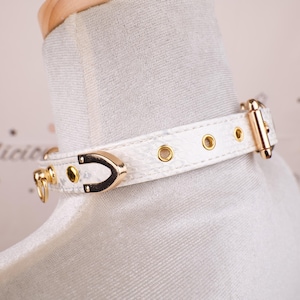 May include: White choker necklace with gold-colored hardware. The choker features a snakeskin pattern and a gold-colored buckle closure. The necklace is displayed on a mannequin.