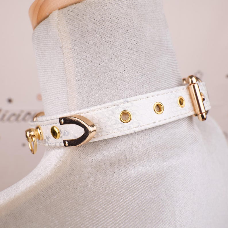 May include: White choker necklace with gold-colored hardware. The choker features a snakeskin pattern and a gold-colored buckle closure. The necklace is displayed on a mannequin.