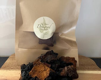 Wild chaga. Inonotus obliquus.