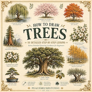 Puede incluir: Una guía instructiva How to Draw Trees con 10 lecciones detalladas paso a paso. El póster muestra ilustraciones de un roble, sauce llorón, cerezo, arce, secuoya gigante, magnolia, bonsái, cornejo, bosque de álamos y olivo.