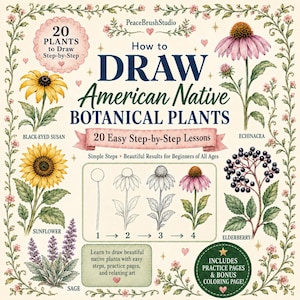 Könnte beinhalten: Ein Zeichenleitfaden mit dem Titel How to DRAW American Native BOTANICAL PLANTS mit 20 Schritt-für-Schritt-Lektionen. Das Cover zeigt Illustrationen von Sonnenhut, Sonnenblume, Salbei, Echinacea und Holunder sowie eine vierstufige Zeichenanleitung.