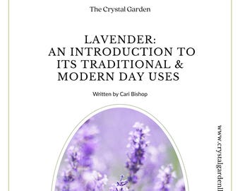 An Educational Guide to Lavender | Botanical History & Thoughtful Use