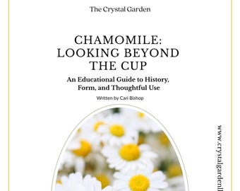 An Educational Guide to Chamomile | Botanical History & Thoughtful Use