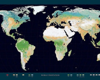 Mapa de impresión artística de la vegetación mundial (Océano Negro)