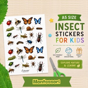 Op de afbeelding: Een A5-vel insectenstickers voor kinderen. De stickers bevatten kleurrijke illustraties van verschillende insecten, waaronder vlinders, bijen en kevers. De tekst "Explore Nature & Learn!" en "Montessori" is ook inbegrepen.