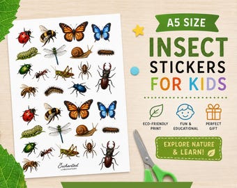 A5 Insect Stickers for Kids | Realistic Nature Bug Illustrations | Montessori Educational Sheet