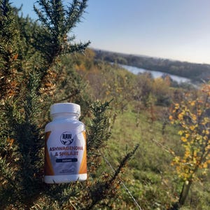 Op de afbeelding: Een witte supplementfles met een goud en oranje label met de tekst "RAW Ashwagandha & Shilajit 300mg". De fles staat tegen een natuurlijke achtergrond van groen gebladerte en een blauwe lucht.