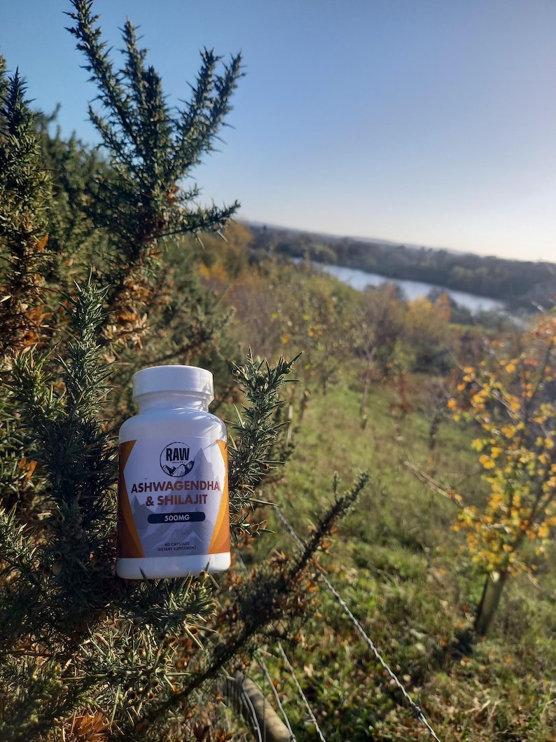 Op de afbeelding: Een witte supplementfles met een goud en oranje label met de tekst "RAW Ashwagandha & Shilajit 300mg". De fles staat tegen een natuurlijke achtergrond van groen gebladerte en een blauwe lucht.