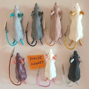May include: Seven mouse-shaped magnets in various colors including light blue, dark gray, tan, white, brown, and black. Each mouse features a long, curved wire tail ending in a metal alligator clip. An orange square note reads MOUSE MAGNET.