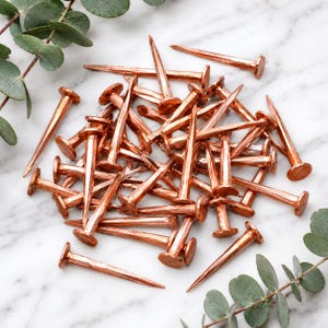 May include: A collection of copper-coloured metal nails with a textured, hammered finish. Each nail features a flat, circular head and a tapered, pointed shaft. The nails are arranged in a loose pile, showcasing their metallic sheen and distinct shape.