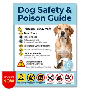 May include: A light blue poster titled "Dog Safety & Poison Guide" with a tan dog and a small black and brown dog. The poster includes safety information and icons, with the words "DOWNLOAD NOW" in a red box.