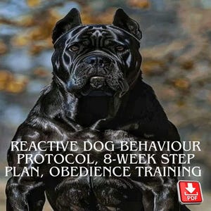 Protocollo sul comportamento reattivo del cane, piano di 8 settimane, quaderno di addestramento all'obbedienza, guida alle buone maniere per gli animali domestici in formato PDF