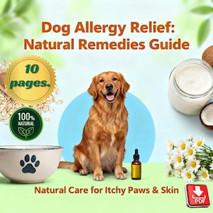 Puede incluir: Imagen que promociona remedios naturales para las alergias caninas. Presenta un golden retriever, un cuenco con una huella de pata, un frasco de aceite y un tarro de crema. El texto incluye "Dog Allergy Relief: Natural Remedies Guide" y "Natural Care for Itchy Paws & Skin".
